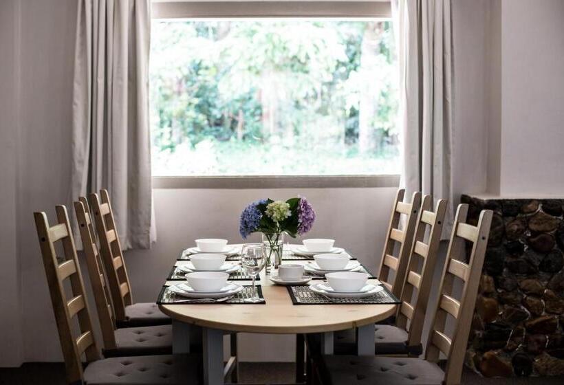 家庭套房, Tall Trees Motel Mountain Retreat