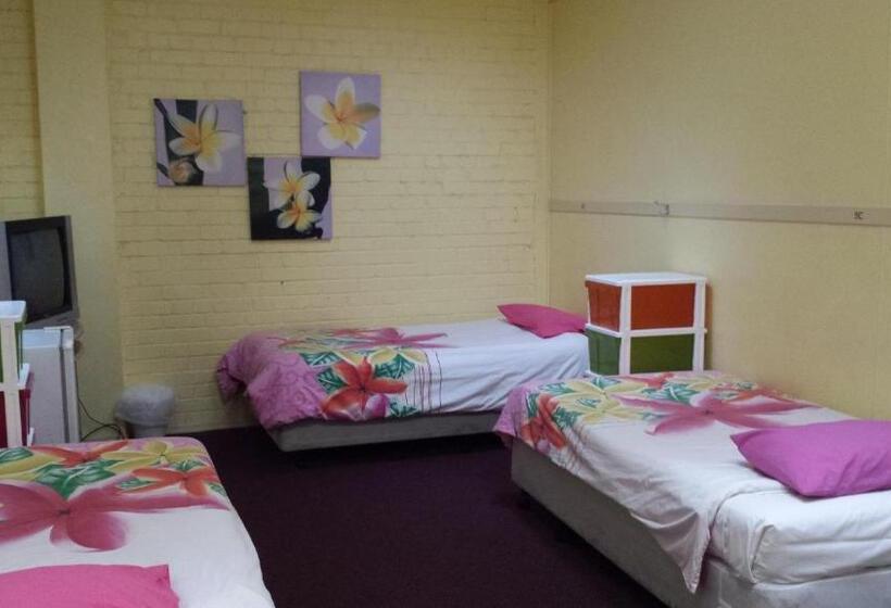 تختخواب در اتاق مشترک, Gecko's Rest Budget Accommodation & Backpackers