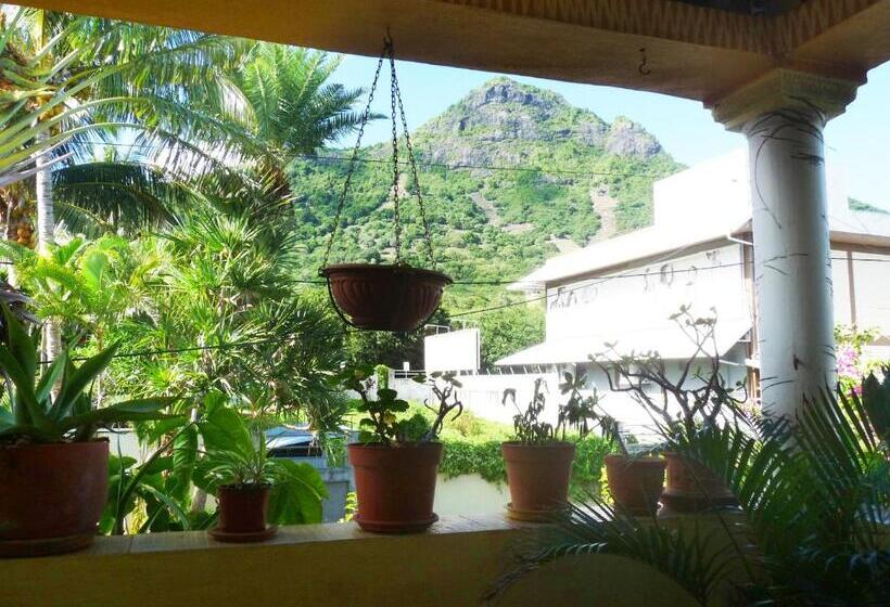 标准工作室, La Reine Creole