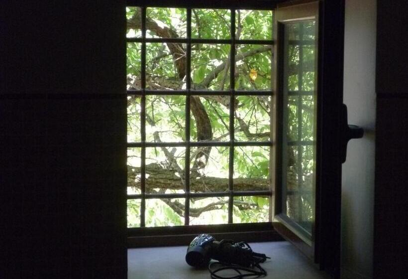 חדר סטנדרט, מיטת קינג, מותאם לאדם עם מוגבלויות, Torre Rocciola