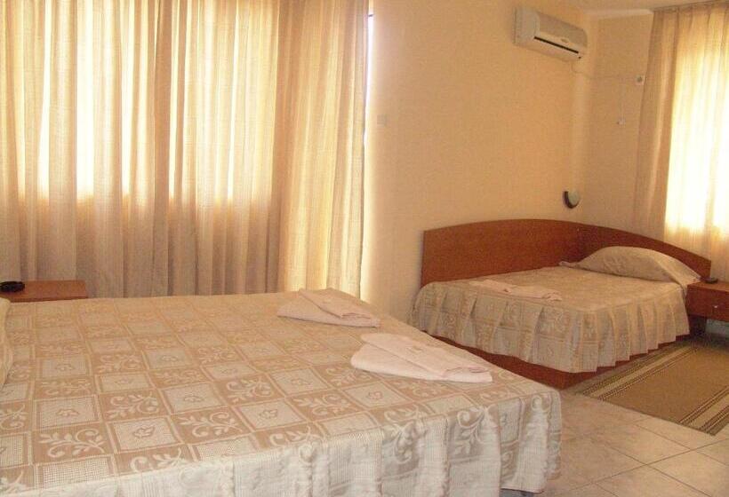 Номер Стандарт с Террасой, Family Hotel Andreev