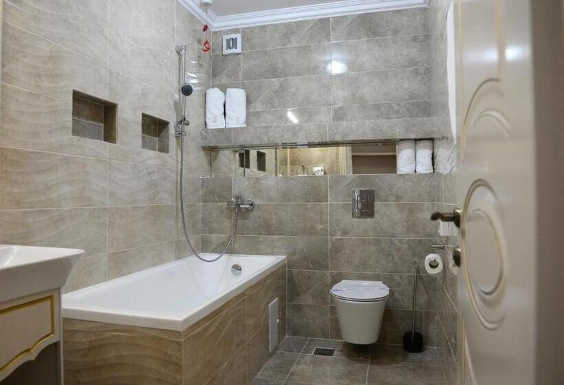 شقة غرفة واحدة, Dacia Sud