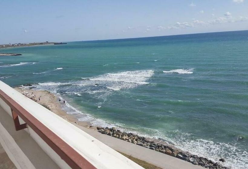 주니어 스위트, Forum