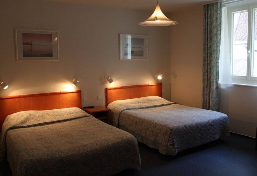 חדר סטנדרט, Les Portes Du Cantal