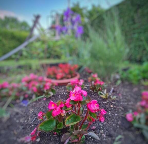 Апартаменты 3 Спальни, Agas Vendeghaz