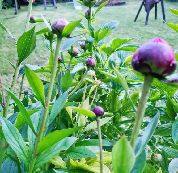 Апартаменты 2 Спальни, Agas Vendeghaz