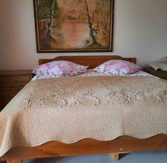 غرفة قياسية, Pensiunea Cristiana