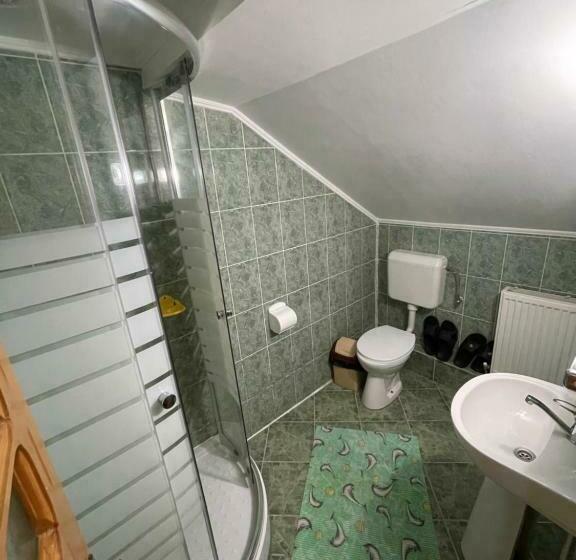 غرفة قياسية, Pensiunea Cristiana