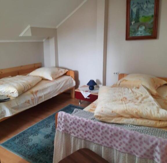 غرفة قياسية, Pensiunea Cristiana