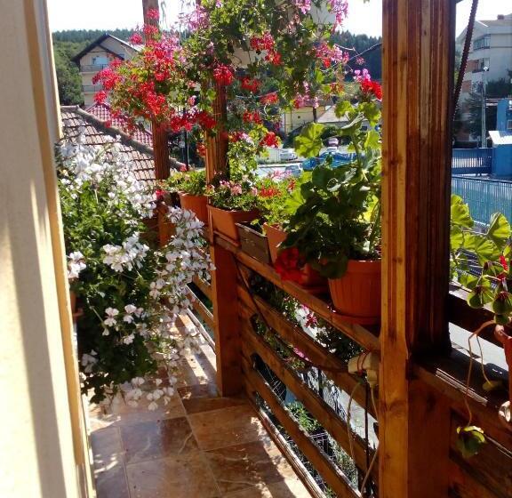 شقة غرفة واحدة, Pensiunea Cristiana