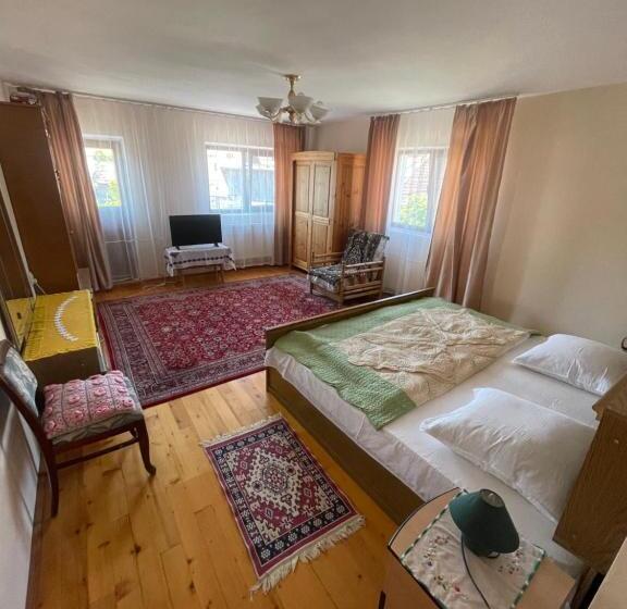 شقة غرفة واحدة, Pensiunea Cristiana