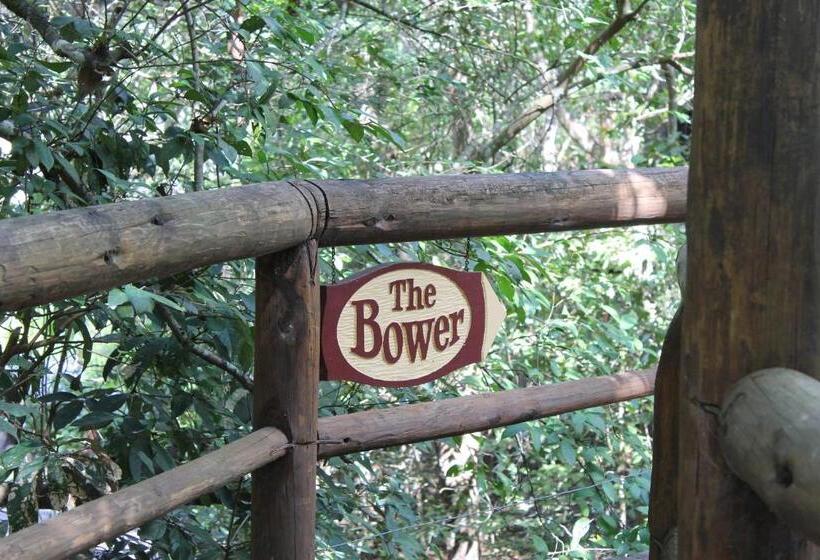 1ベッドルームハウス, Secrets On The Lake