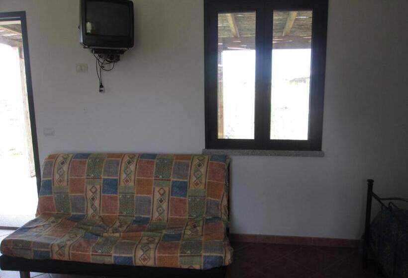 Студия Стандарт, San Nicola