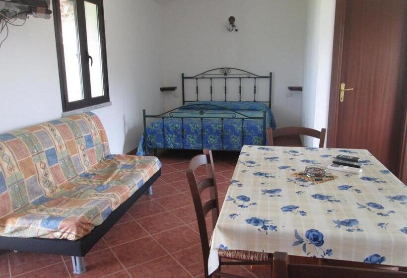 Студия Стандарт, San Nicola