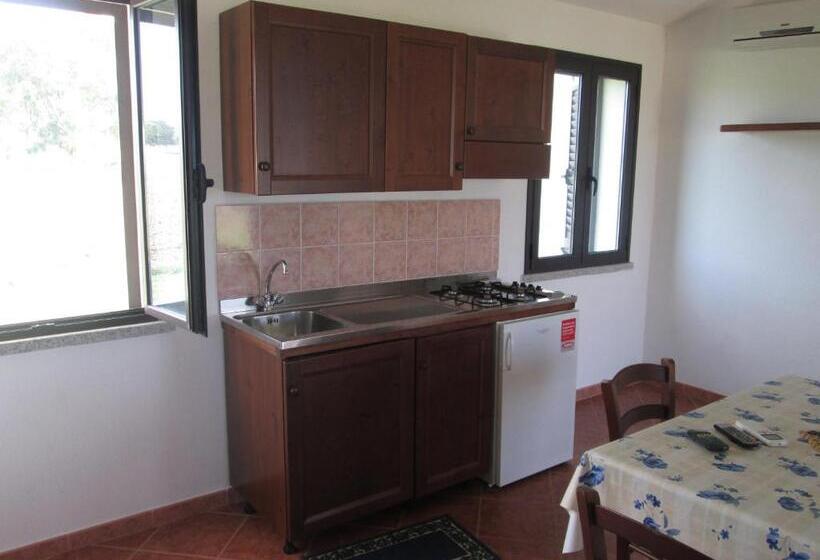 Студия Стандарт, San Nicola