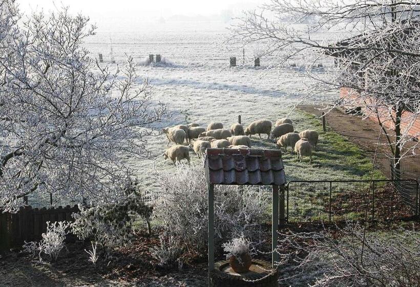 Номер Стандарт, B&b Artiriacumhoeve