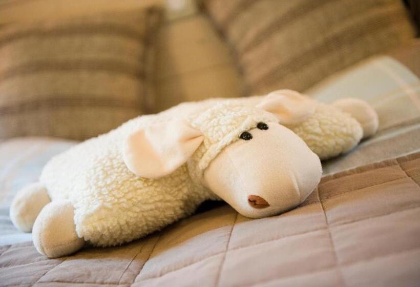 스탠다드 룸, B&b Artiriacumhoeve