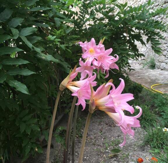 חדר דופלקס, Borgo San Valentino