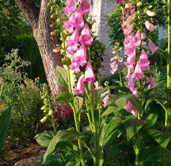 חדר דופלקס, Borgo San Valentino