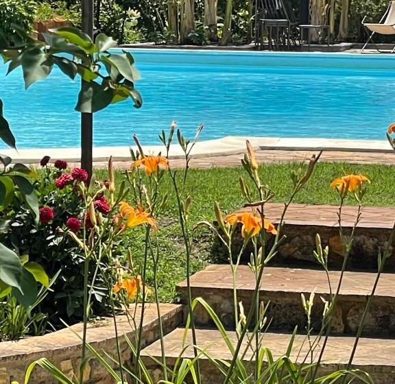 شقة غرفة واحدة مزودة بتراس, Borgo San Valentino