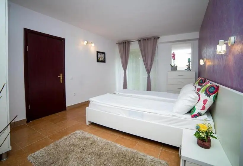 Appartement 1 Chambre Rez-de-Chaussée, Corina