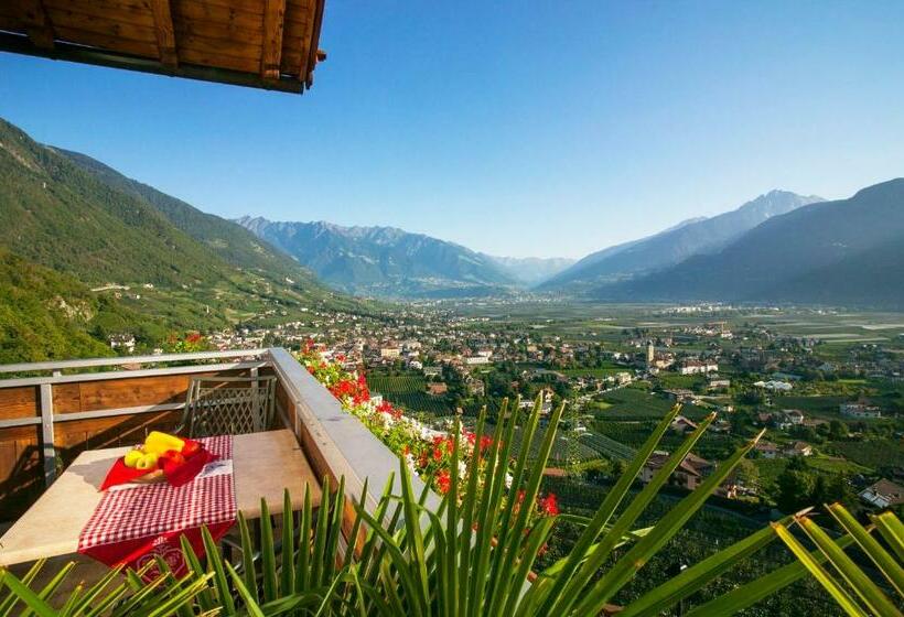 バルコニー付き１ベッドルームアパートメント, Residence Untermösslhof