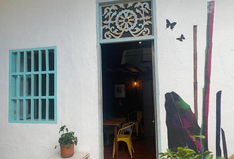 スーペリアスタジオ, Moonshine Boutique Hostal