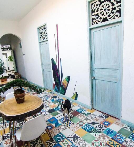 スーペリアスタジオ, Moonshine Boutique Hostal