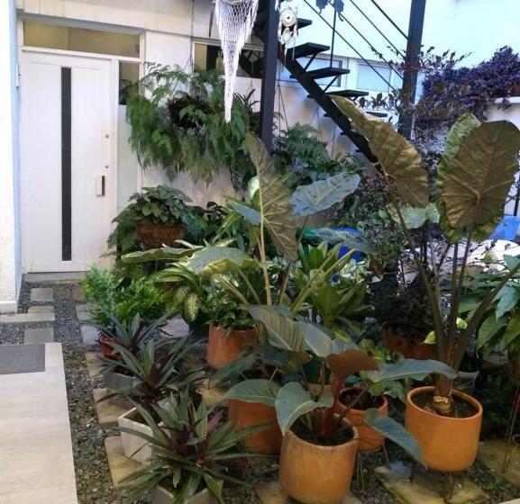 スイート, Moonshine Boutique Hostal