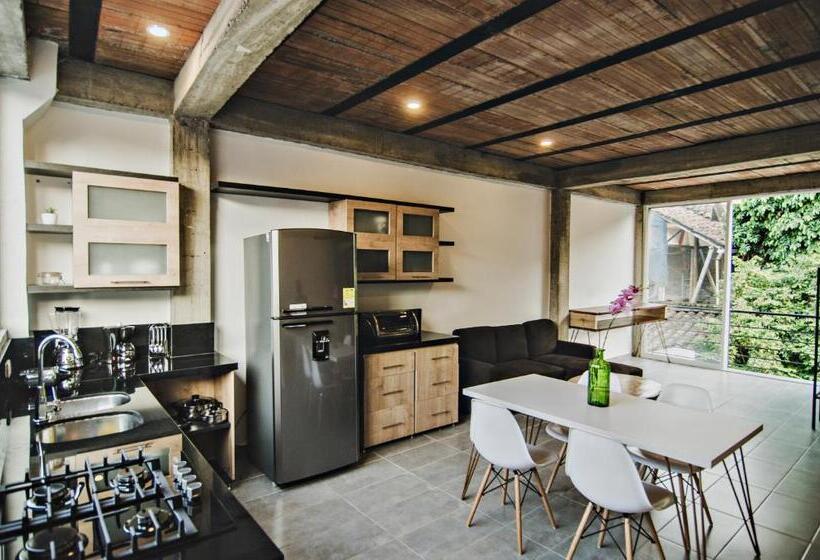 スイート, Moonshine Boutique Hostal