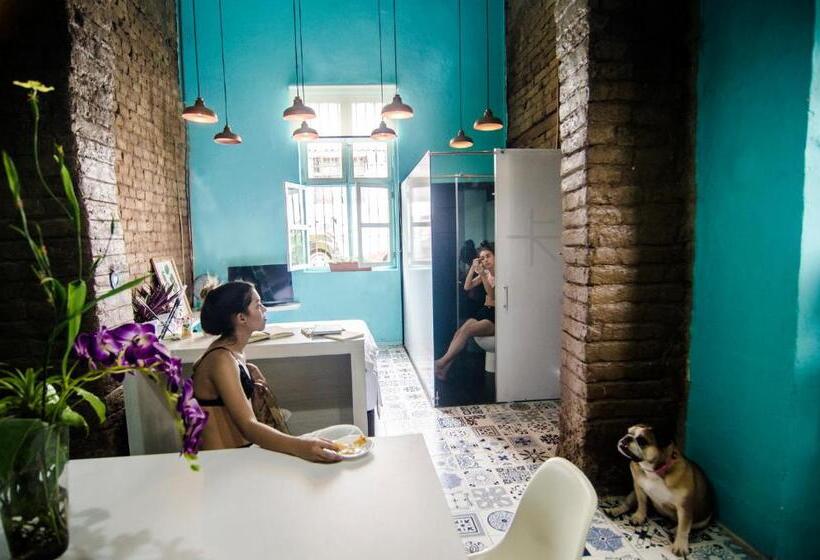 デラックススタジオ, Moonshine Boutique Hostal