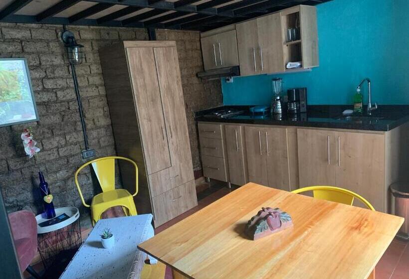إستوديو سوبيريور, Moonshine Boutique Hostal