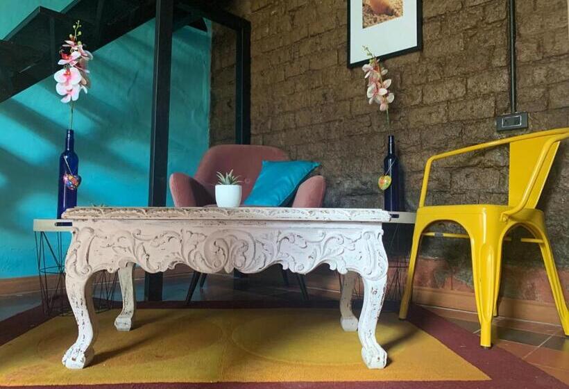 スーペリアスタジオ, Moonshine Boutique Hostal