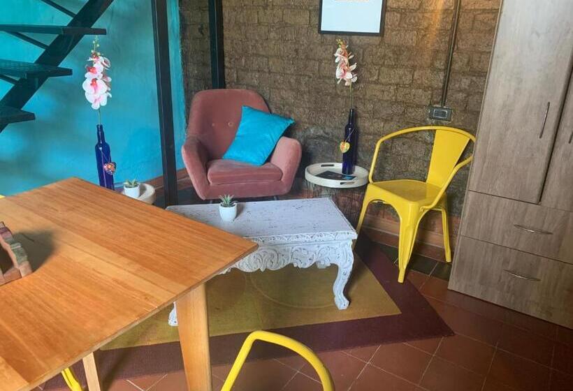 スーペリアスタジオ, Moonshine Boutique Hostal