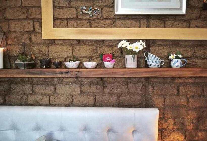 スタンダードルーム, Moonshine Boutique Hostal