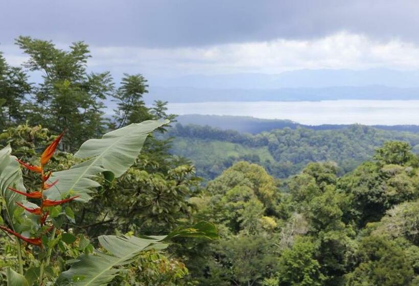 بنگله خانوادگی, Finca Sueno De Osa