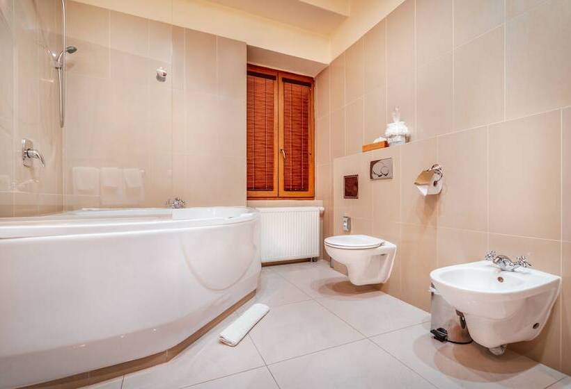 Номер Стандарт Трехместный, Capital With Private Wellness