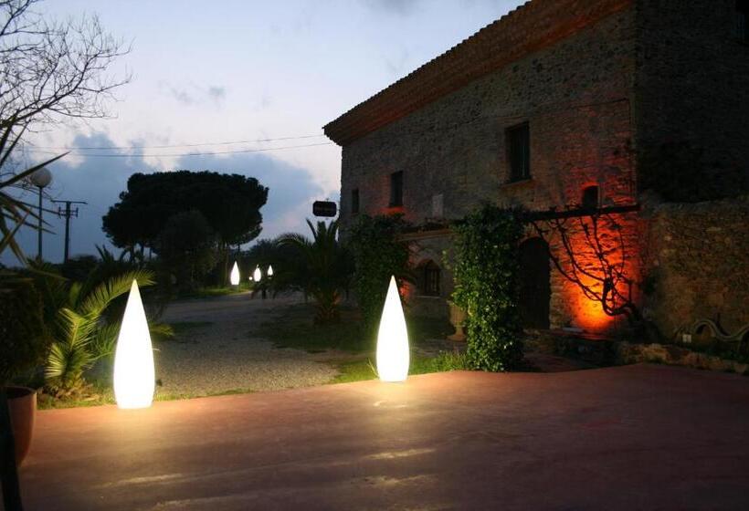 חדר סטנדרט, Mas Palou