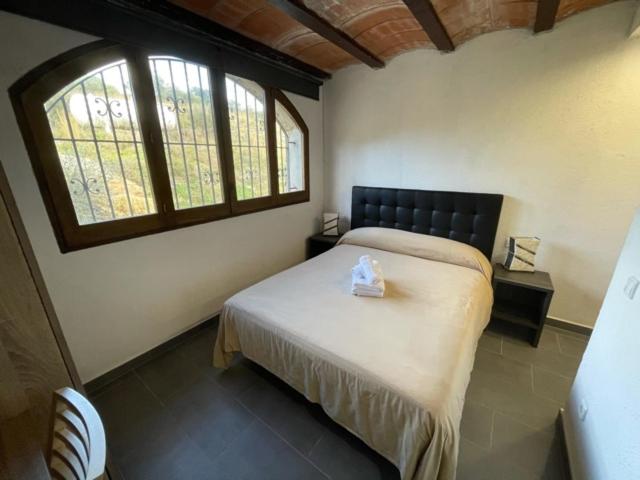 חדר אקונומי, Mas Palou