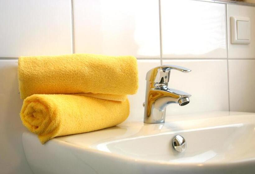 شقة غرفة واحدة, Alm Appartements Ehemals Birkenhof