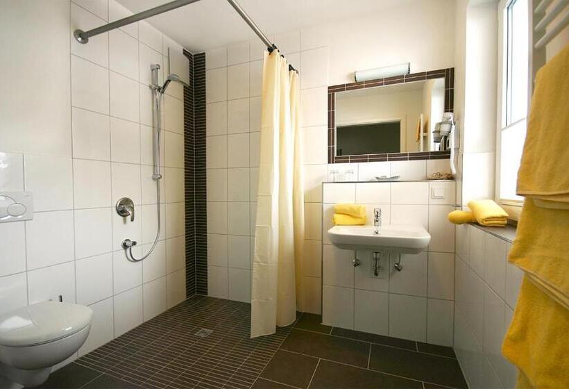 شقة غرفة واحدة, Alm Appartements Ehemals Birkenhof