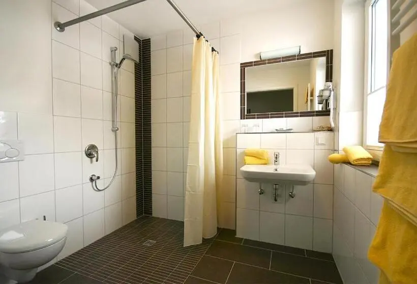 آپارتمان 2 خوابه, Alm Appartements Ehemals Birkenhof