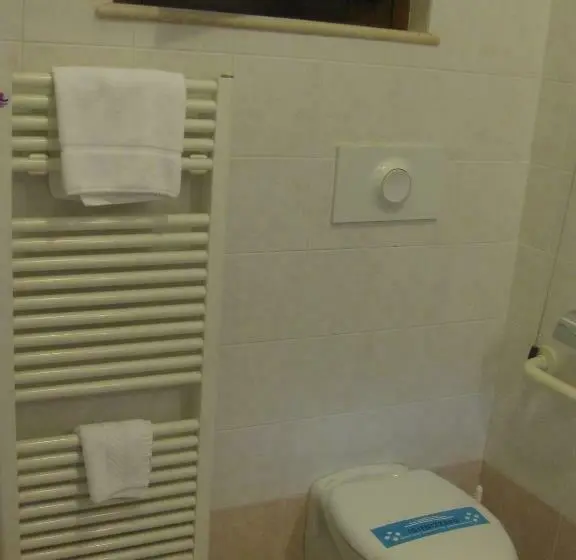 身障者適用シングルルーム, Albergo Giardino