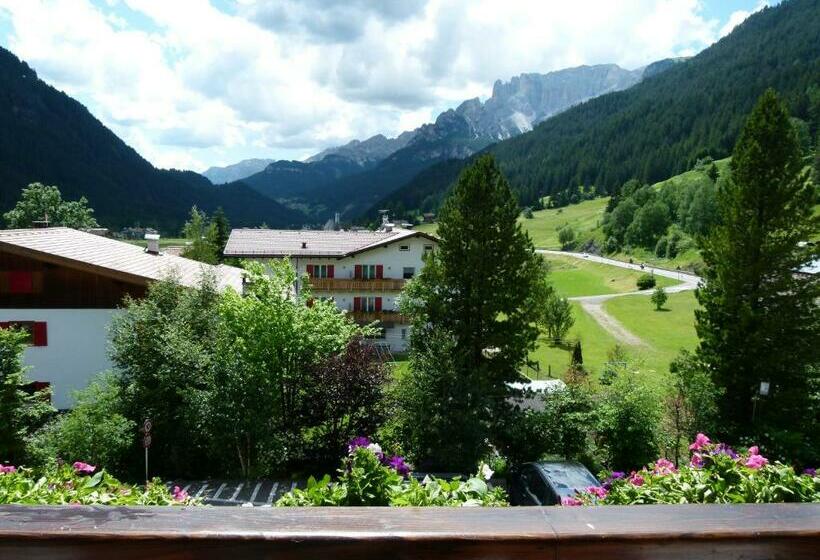 סוויטה, Gran Paradis