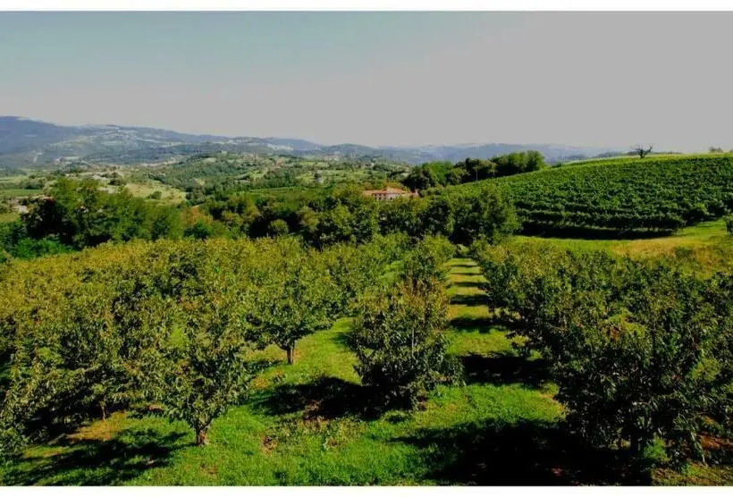 スイート, Tenuta Fortelongo
