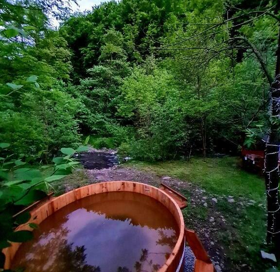 اتاق خانوادگی, Korondi Pisztrangos