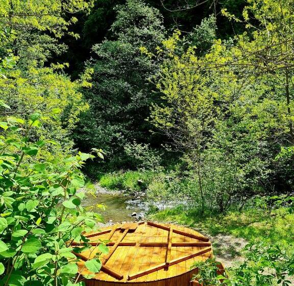 اتاق خانوادگی, Korondi Pisztrangos