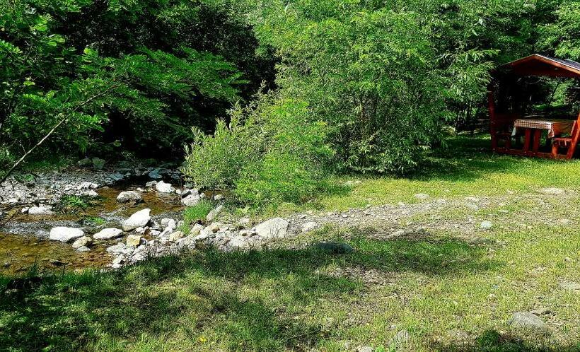 اتاق خانوادگی, Korondi Pisztrangos