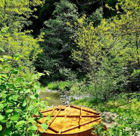 اتاق استاندارد چهار تخته, Korondi Pisztrangos