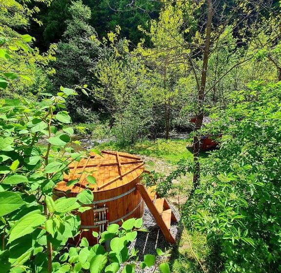 اتاق استاندارد, Korondi Pisztrangos